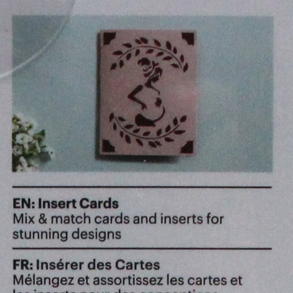 Cricut 42 R10 Rainbow Scales Sampler Insert Cards Envelopes - Picture 8 of 13
